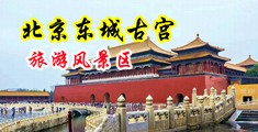 嗯啊操我求求你啊啊视频中国北京-东城古宫旅游风景区